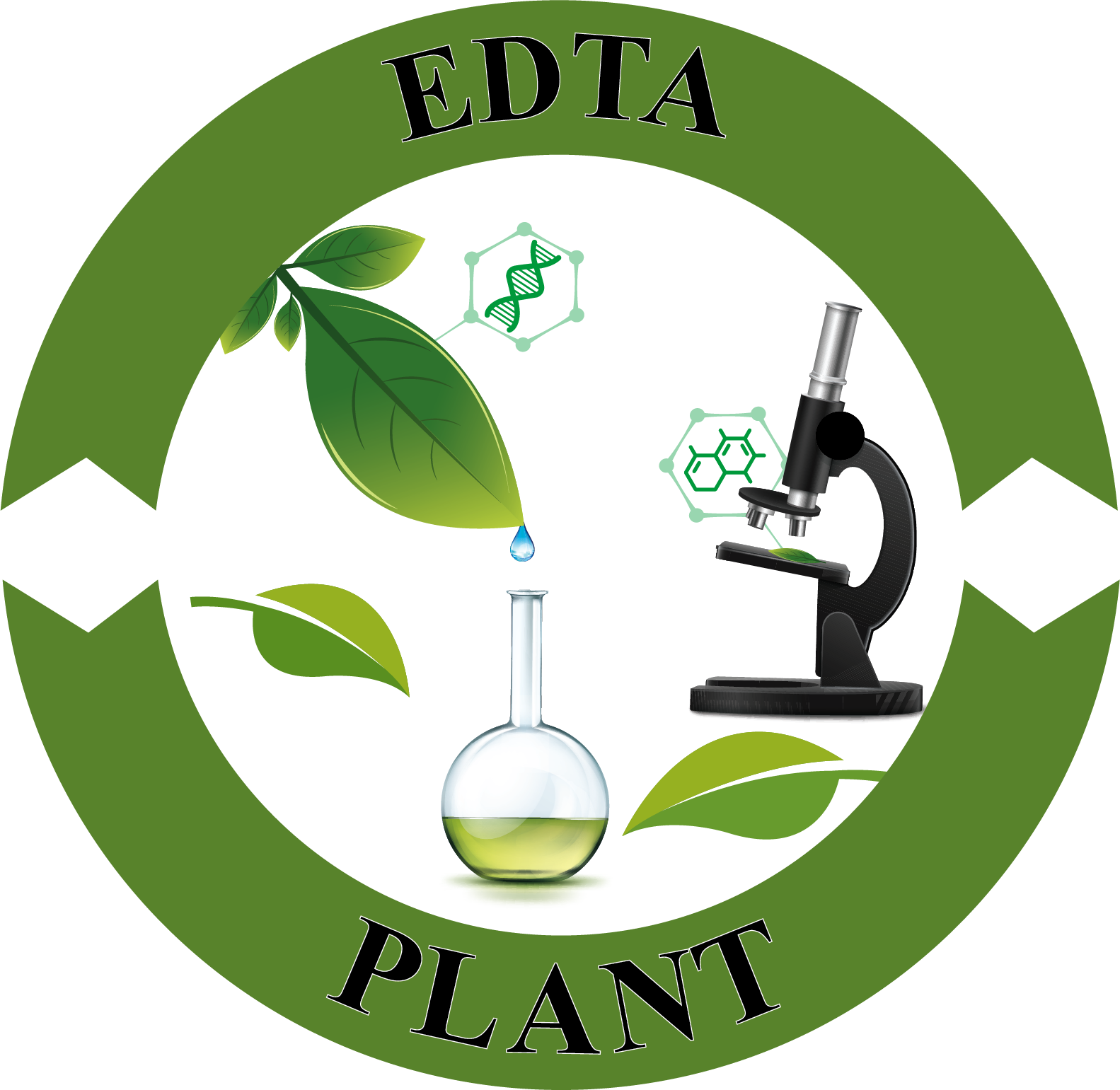 EDTA PLANT